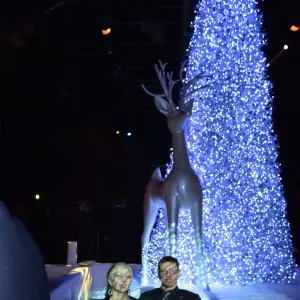 albero-di-natale-per-eventi-luci-led-paillettes
