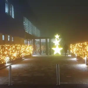 noleggio-e-vendita-luminarie-per-ingressi