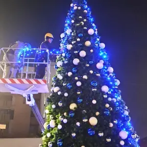 addobbatori-e-allestitori-per-alberi-di-natale-giganti